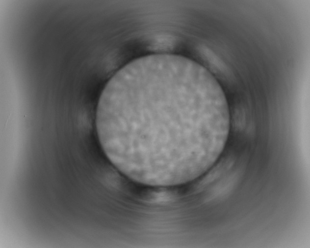 X0000115560370200911061558