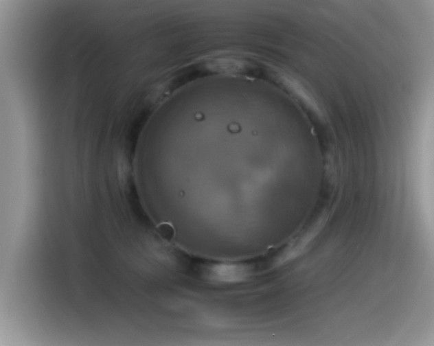 X0000115560371200911061558