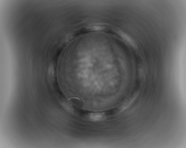 X0000115560373200911061558