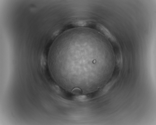 X0000115560374200911061558
