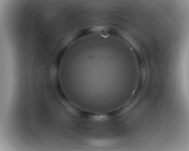 X0000115560375200911061558