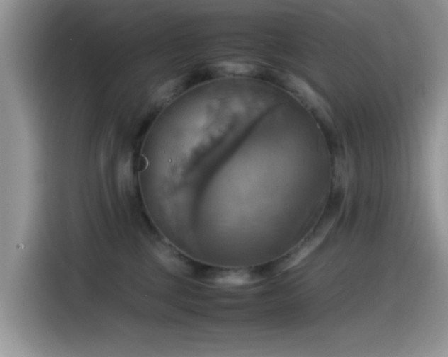 X0000115560377200911061558