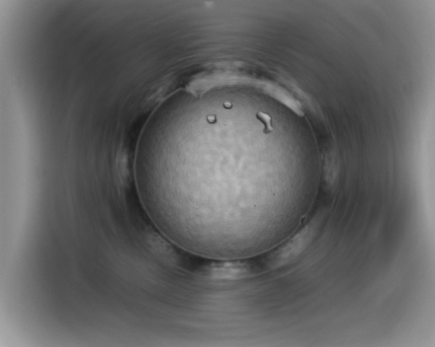 X0000115560378200911061558