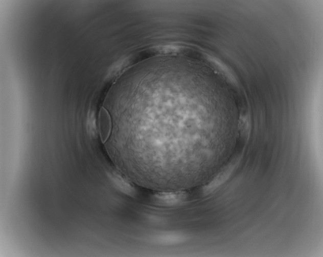 X0000115560381200911061558