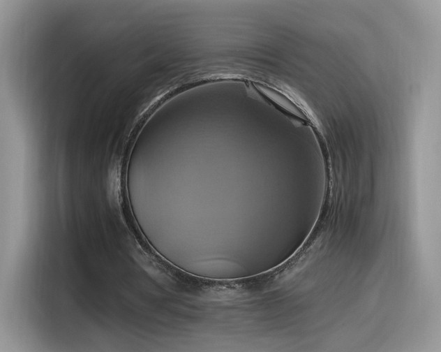 X0000115560386200911061557
