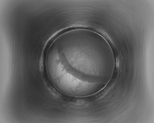 X0000115560388200911061557