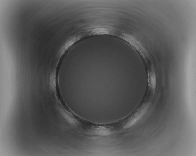 X0000115560390200911061557