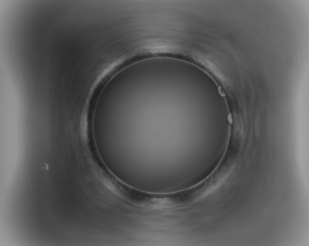 X0000115560391200911061557