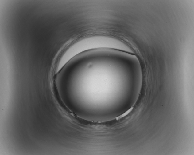 X0000115560395200911061557
