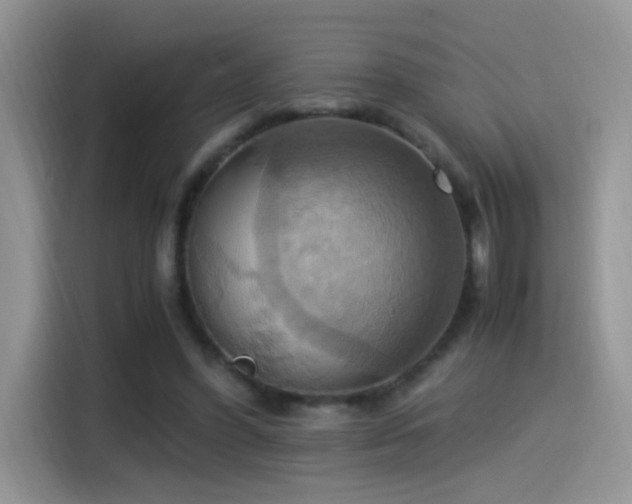 X0000115560396200911061557