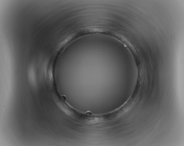 X0000115560398200911061557