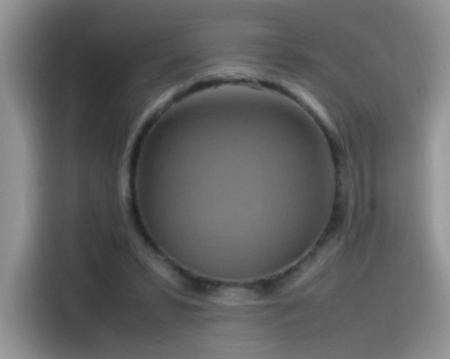 X0000115560399200911061557