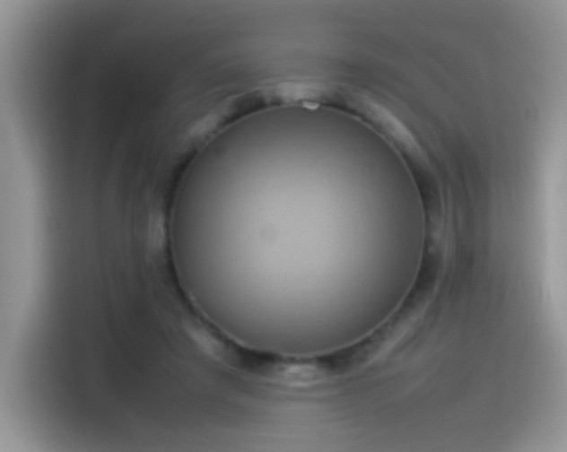 X0000115560401200911061557