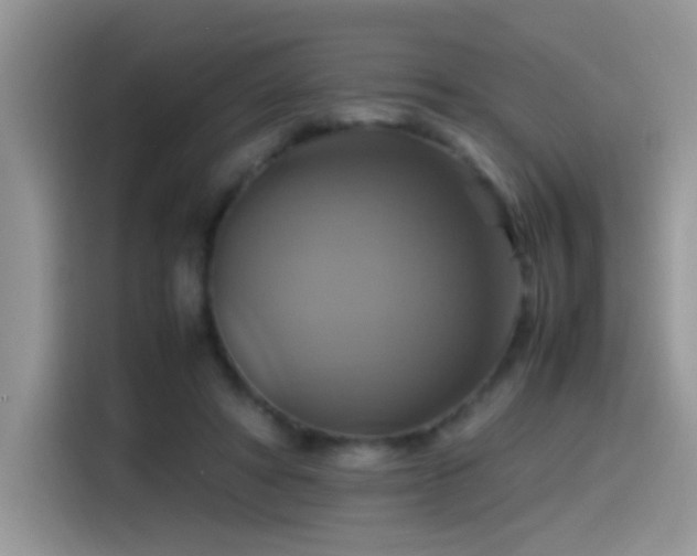 X0000115560402200911061557