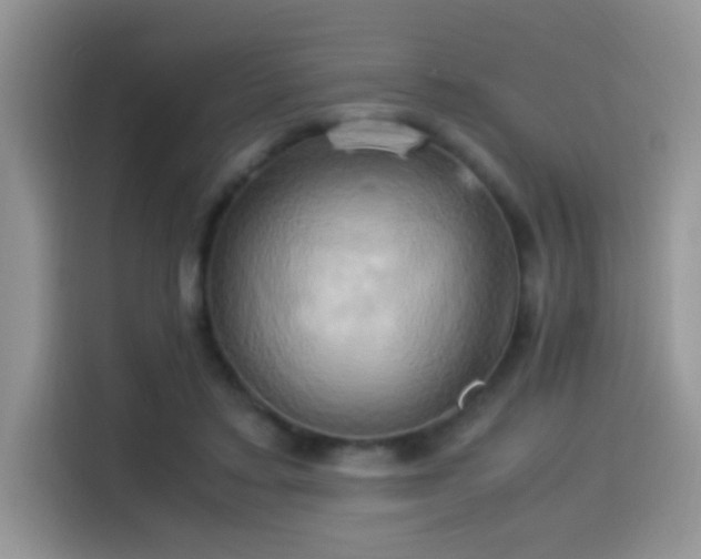X0000115560403200911061557