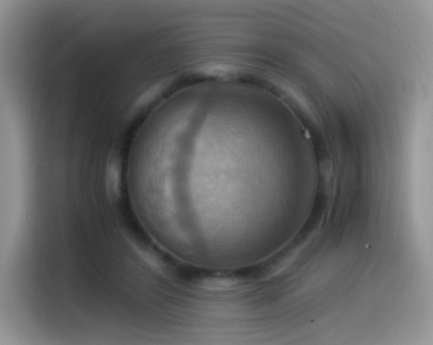 X0000115560404200911061557