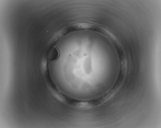 X0000115560406200911061557