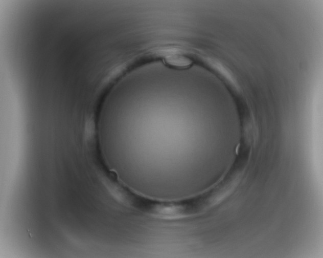 X0000115560407200911061557