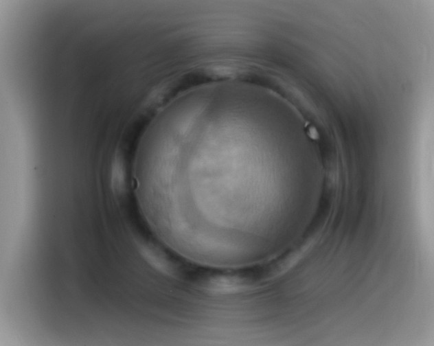 X0000115560408200911061557