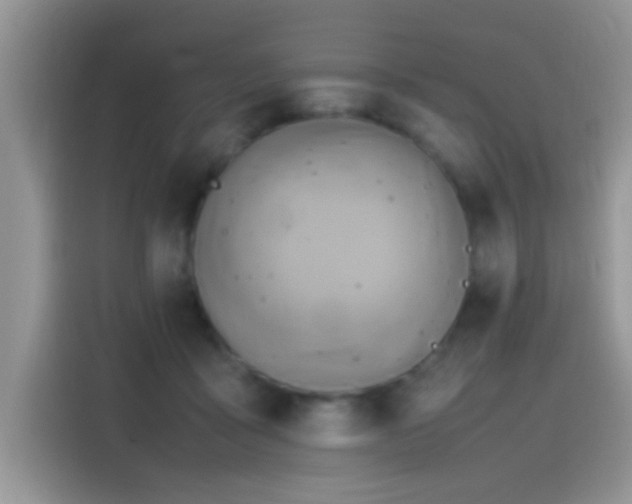 X0000115560411200911061557