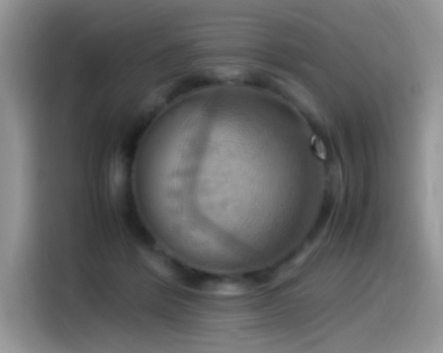 X0000115560412200911061557