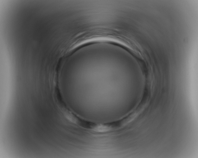 X0000115560413200911061557