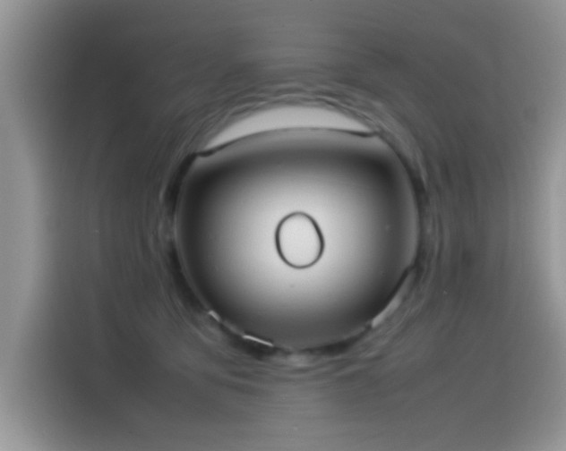 X0000115560419200911061557