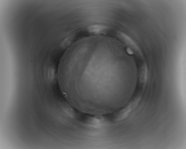 X0000115560420200911061557