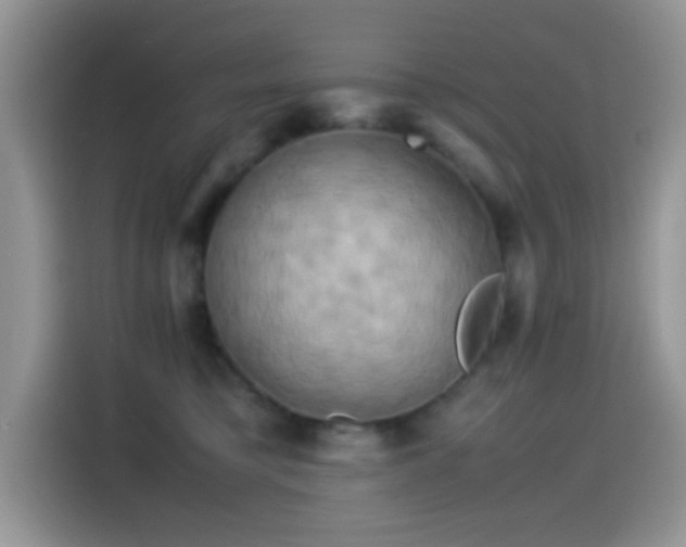 X0000115560421200911061557