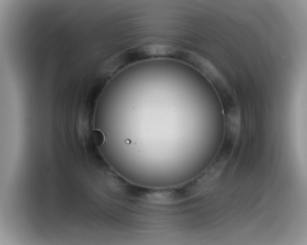 X0000115560422200911061557