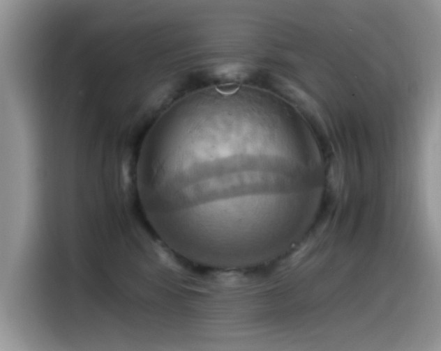 X0000115560424200911061557