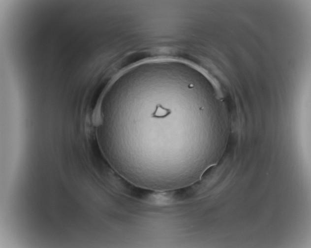 X0000115560425200911061557