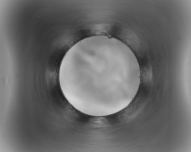 X0000115560427200911061557