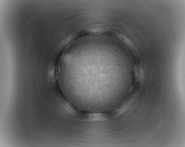 X0000115560428200911061557