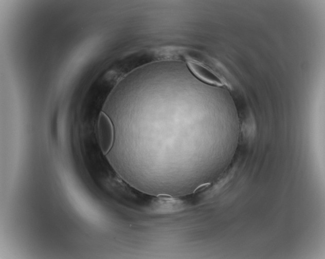 X0000115560429200911061557