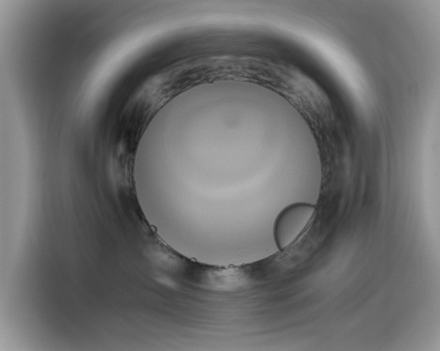 X0000115560431200911061557
