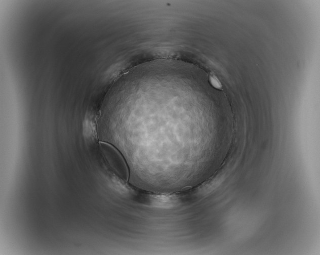 X0000115560432200911061557