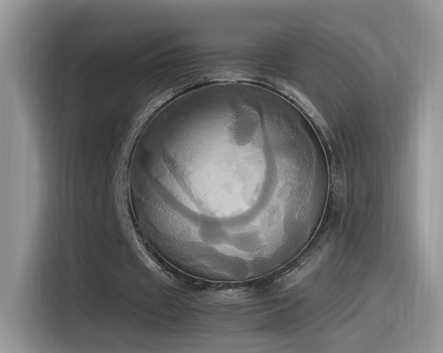 X0000115560433200911061556