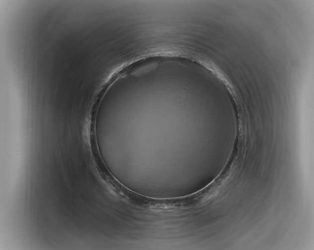 X0000115560434200911061556