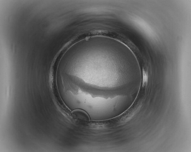 X0000115560435200911061556