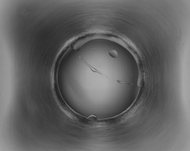 X0000115560438200911061556