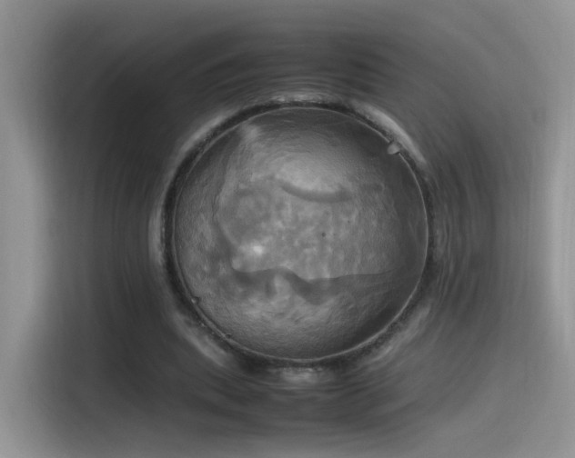 X0000115560439200911061556