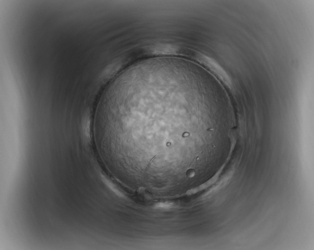 X0000115560441200911061556