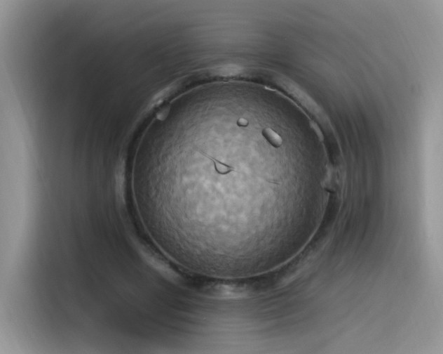 X0000115560442200911061556