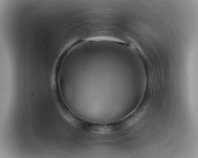 X0000115560443200911061556
