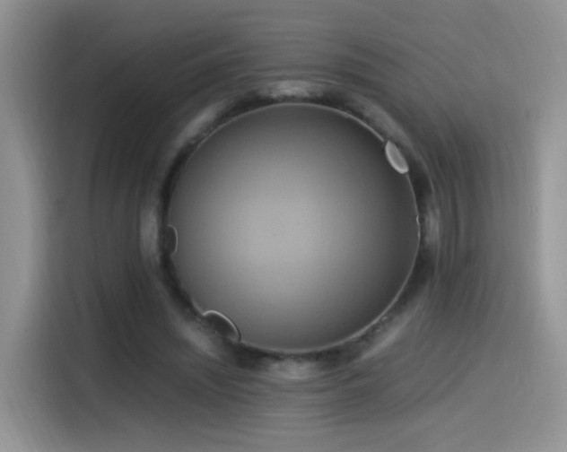 X0000115560444200911061556