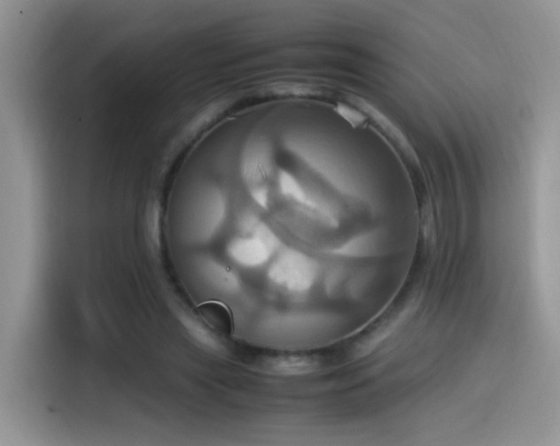 X0000115560445200911061556
