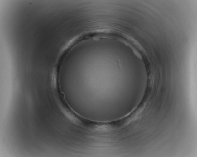 X0000115560446200911061556