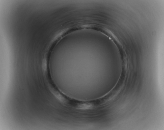 X0000115560447200911061556