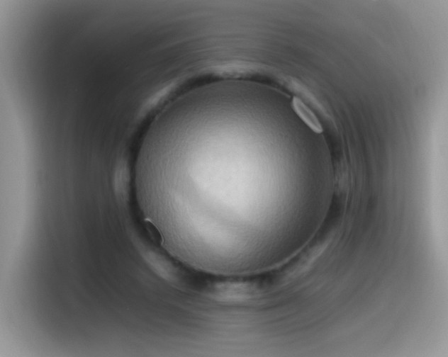 X0000115560448200911061556
